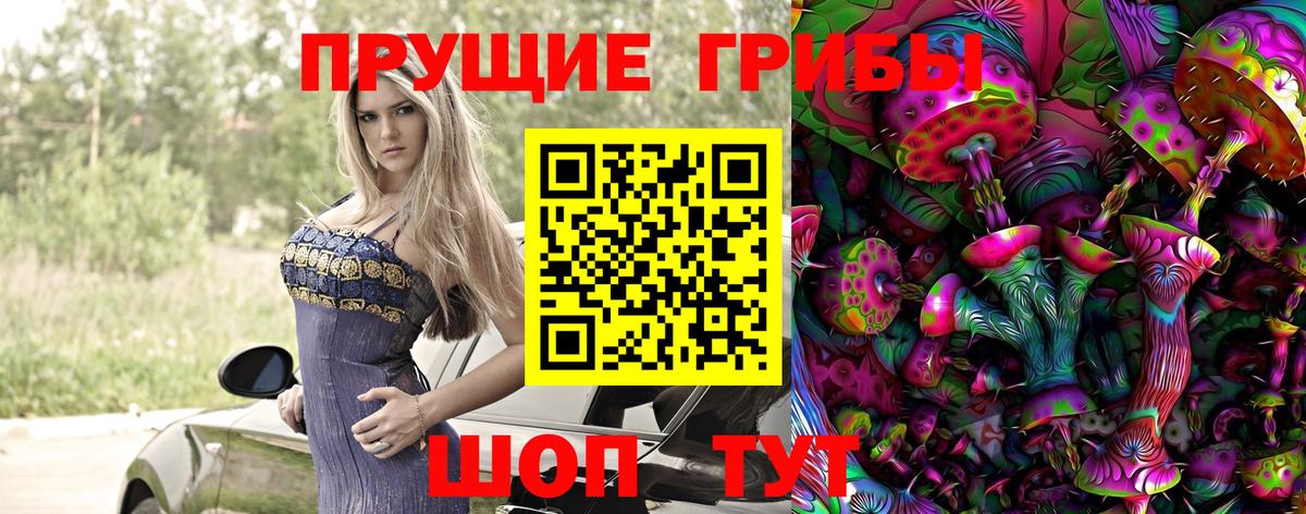 Галлюциногенные грибы Cubensis Мичуринск