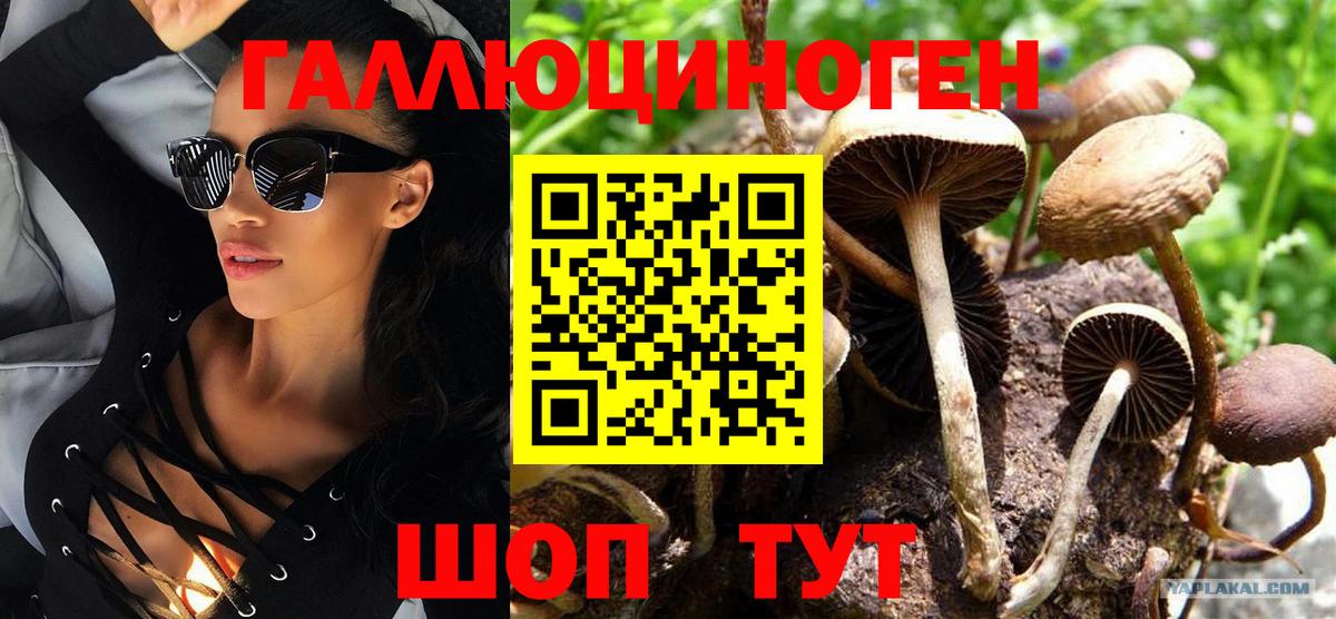 Мичуринск  Псилоцибиновые грибы MAGIC MUSHROOMS  Вход с VPN 